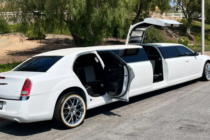 2014 Chrysler 300 limousine 2