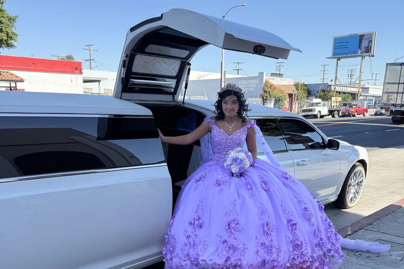 2014 Chrysler 300 limousine 13