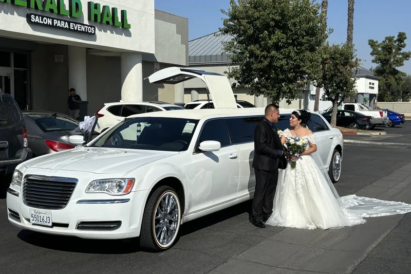 2014 Chrysler 300 limousine 14