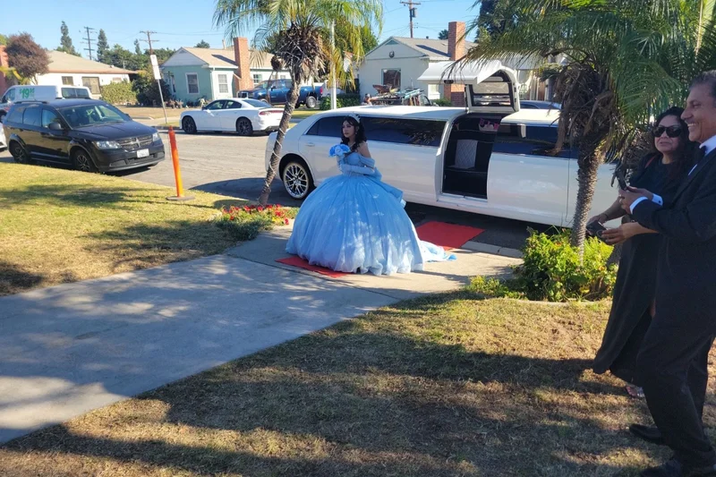 2014 Chrysler 300 limousine 19