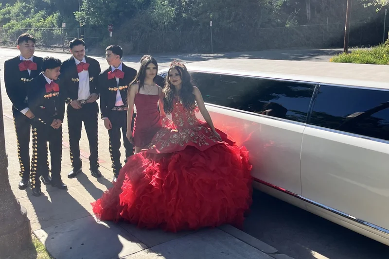 2014 Cadillac Limousine stretch Limousine 5