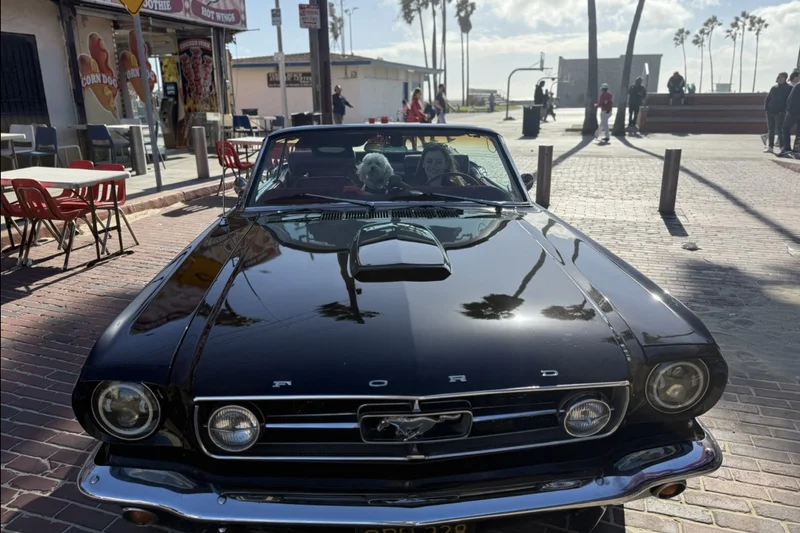 1965 Ford Mustang Convertible 32