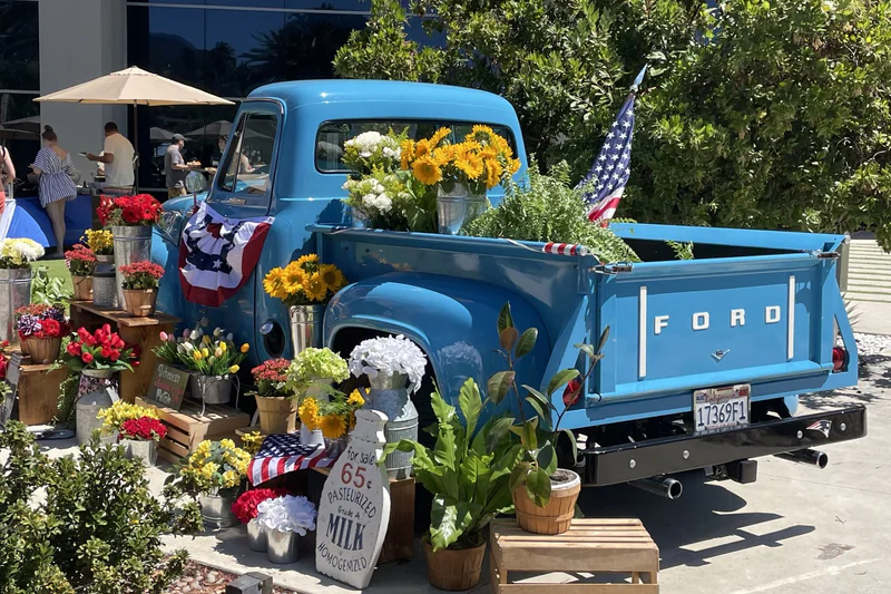 1955 Ford F100 F100 10