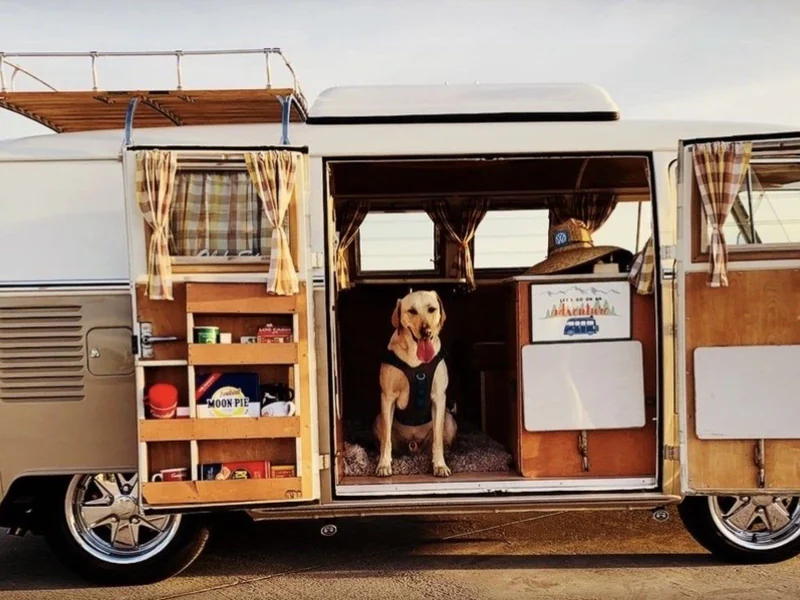 1966 Volkswagen Westfalia Camper SO42 8