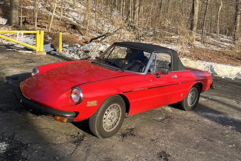 1981 Alfa Romeo Spider Veloce 5