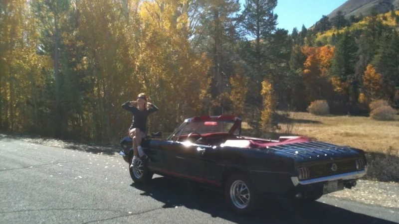 1965 Ford Mustang 2