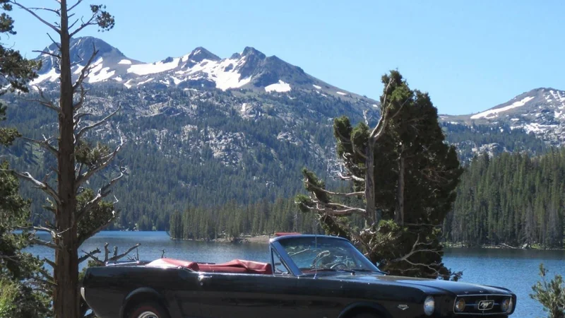 1965 Ford Mustang 3
