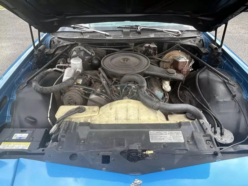 1977 Buick Regal Base 16