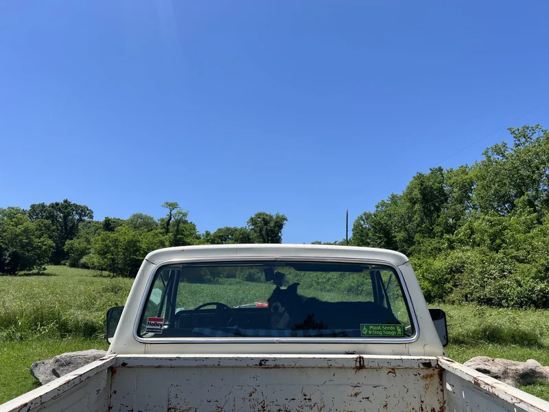 1976 Ford F-150 in Nashville 5