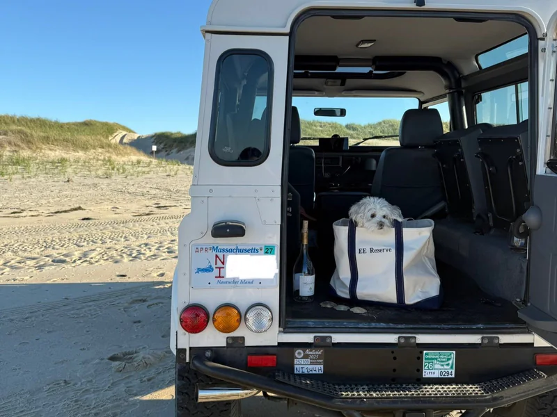 1997 Land Rover Defender 90 (Truck)