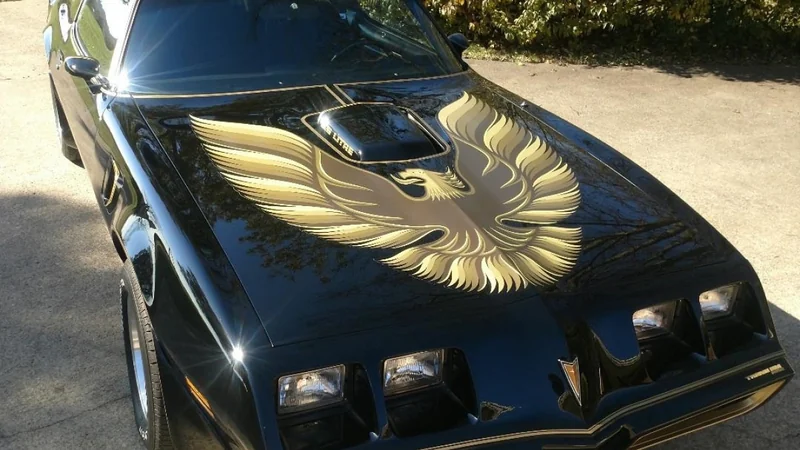 1979 Pontiac Firebird Trans Am 2