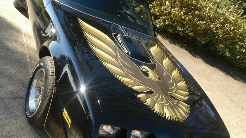 1979 Pontiac Firebird Trans Am 3
