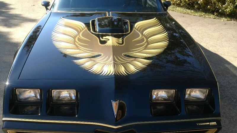 1979 Pontiac Firebird Trans Am 5