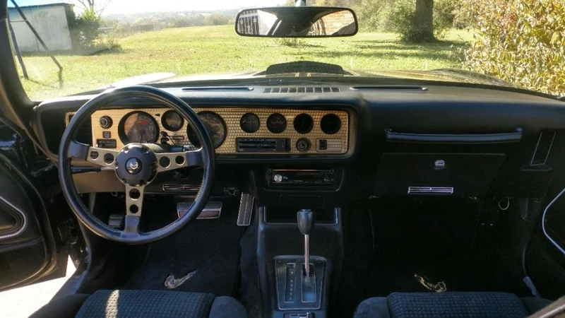 1979 Pontiac Firebird Trans Am 8
