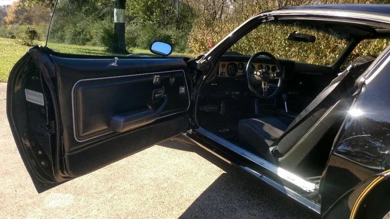 1979 Pontiac Firebird Trans Am 9