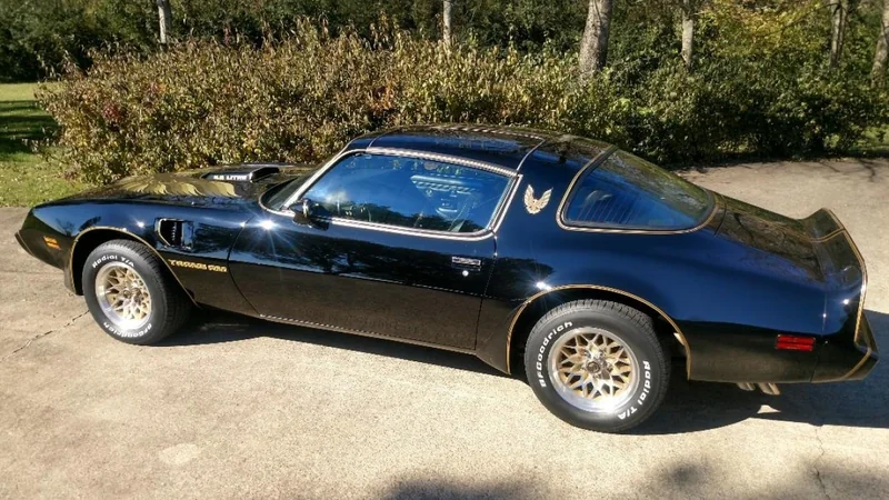 1979 Pontiac Firebird Trans Am 10