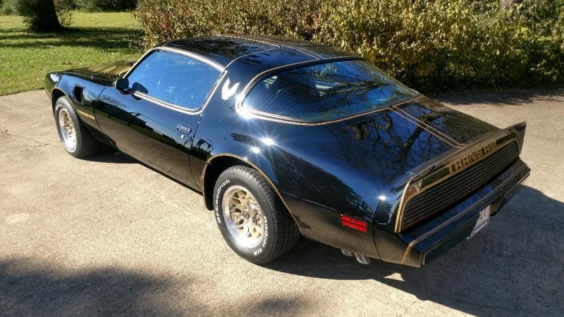1979 Pontiac Firebird Trans Am 11