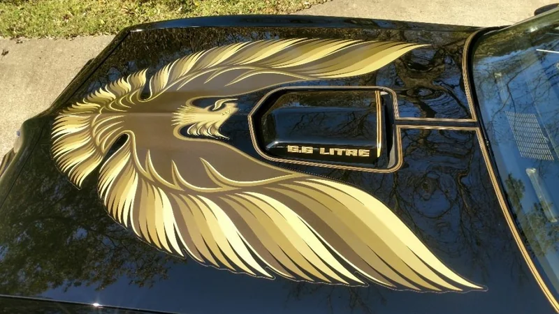 1979 Pontiac Firebird Trans Am 14