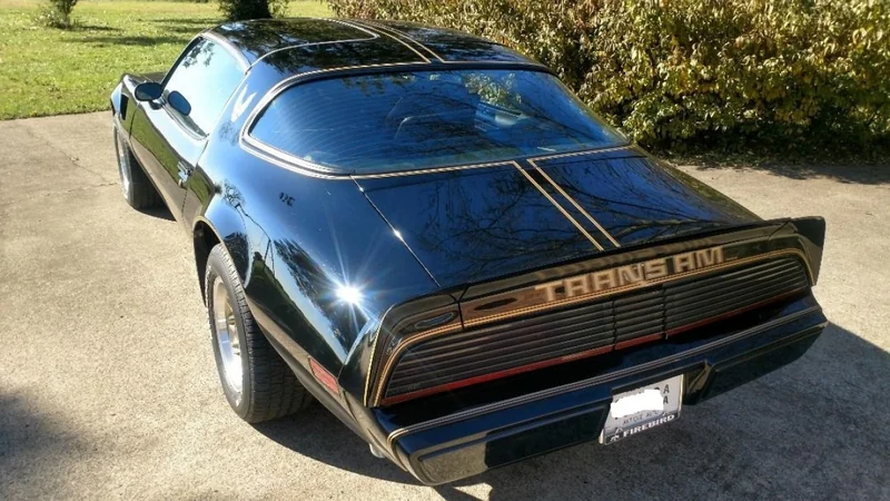 1979 Pontiac Firebird Trans Am 12