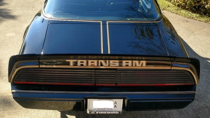1979 Pontiac Firebird Trans Am 13