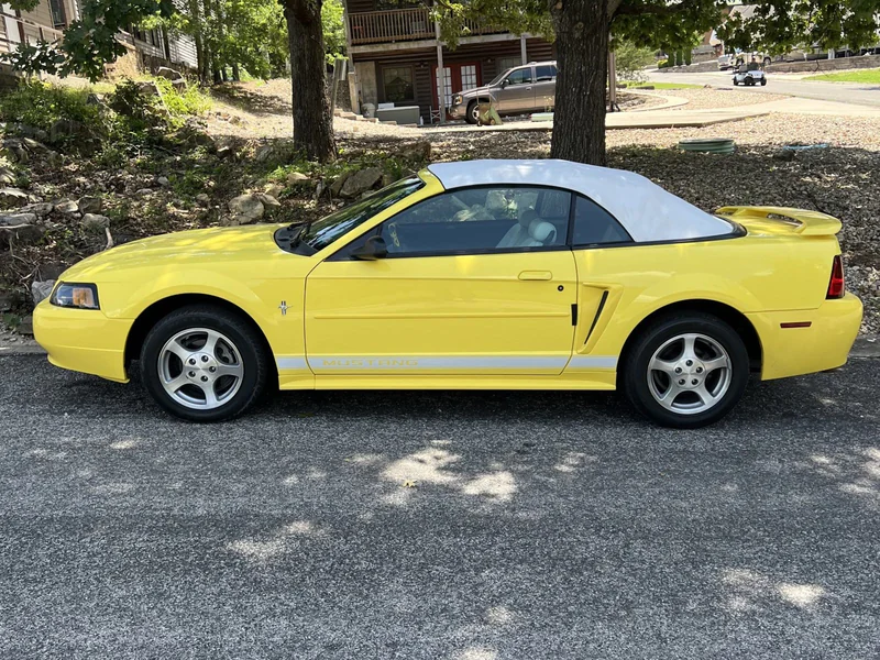 2002 Ford Mustang Base 2