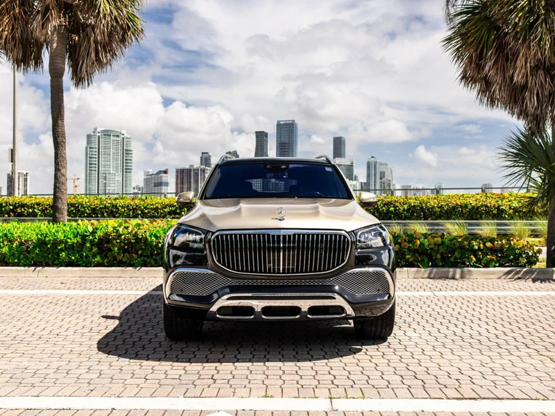 2021 Mercedes-Benz Maybach GLS 600 3