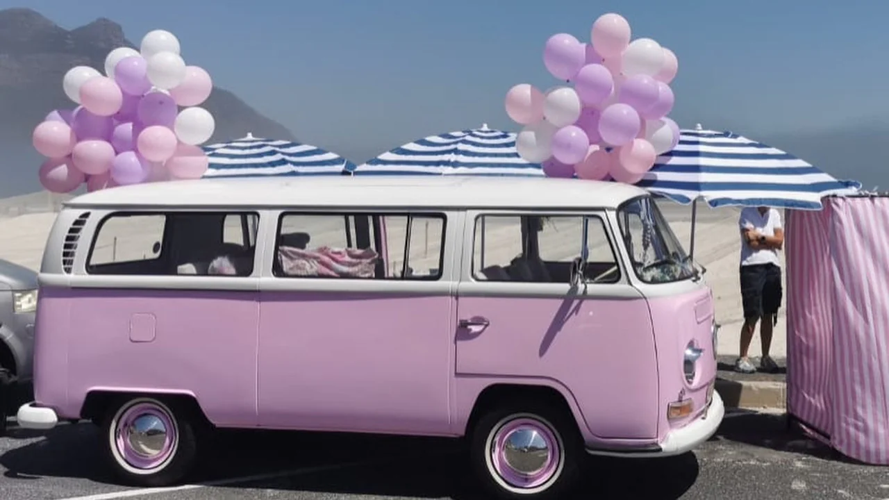 1969 Volkswagen Vw T2