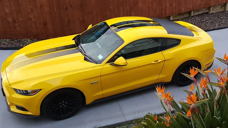 2017 Ford Mustang GT in Auckland 7