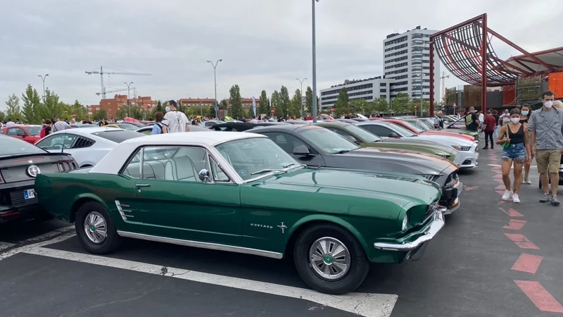 1966 Ford Mustang in Las Rozas de Madrid 10
