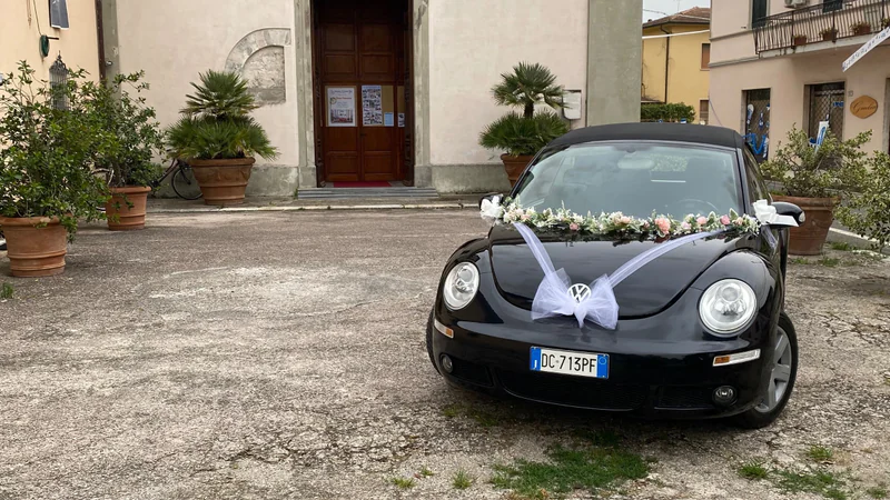 2006 Volkswagen New Beetle in Pisa 15