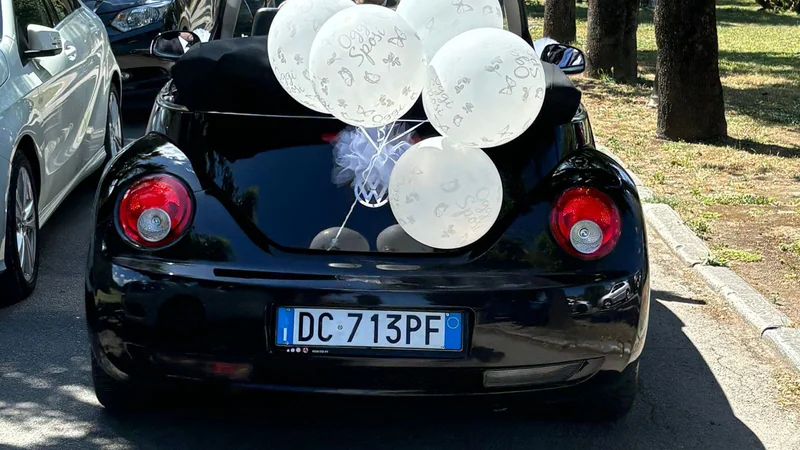 2006 Volkswagen New Beetle in Pisa 9