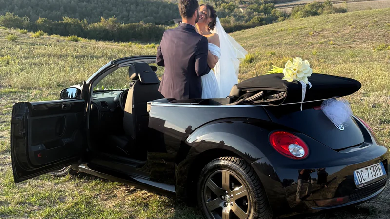 2006 Volkswagen New Beetle in Pisa 2