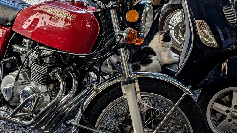 1976 Honda Cb400 Four SS in Trieste 3