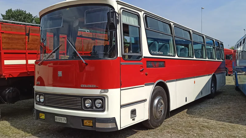 1971 Fiat 343 orlandi in Bergamo 3