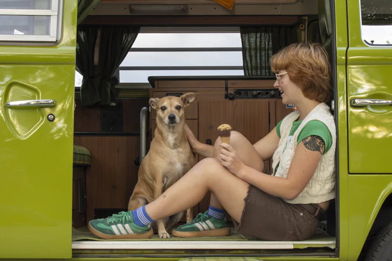 1976 Volkswagen Bus Westfalia Campmobile Deluxe 2