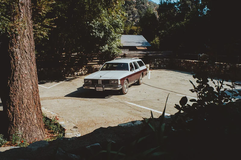 1981 Oldsmobile Cutlass Cruiser Base 3