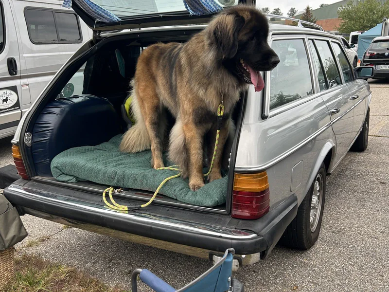 1982 Mercedes-Benz 300 TD Base 11