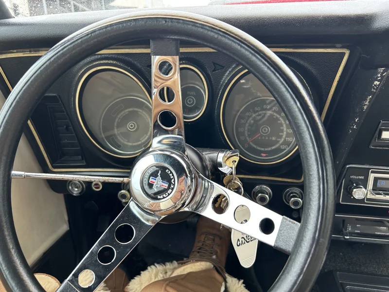 1971 Ford Mustang Base 4