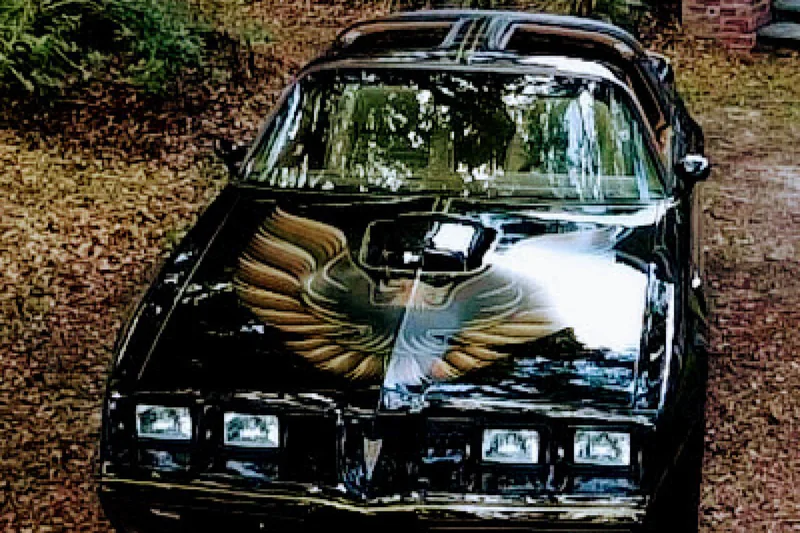 1980 Pontiac Trans Am SE "Bandit" 2