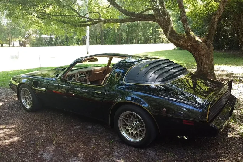 1980 Pontiac Trans Am SE "Bandit" 3