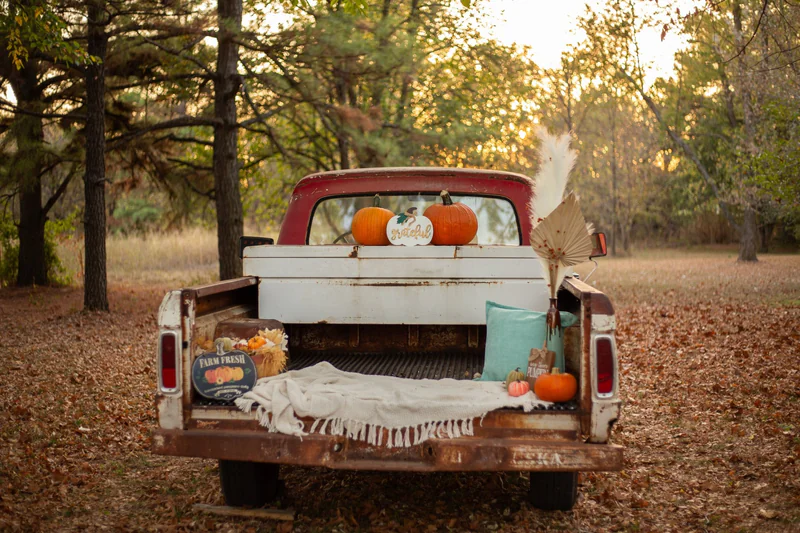 1962 Ford F-100 1/2 Ton 2