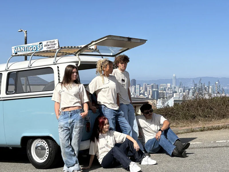 1971 Volkswagen Type 2 Bus 8