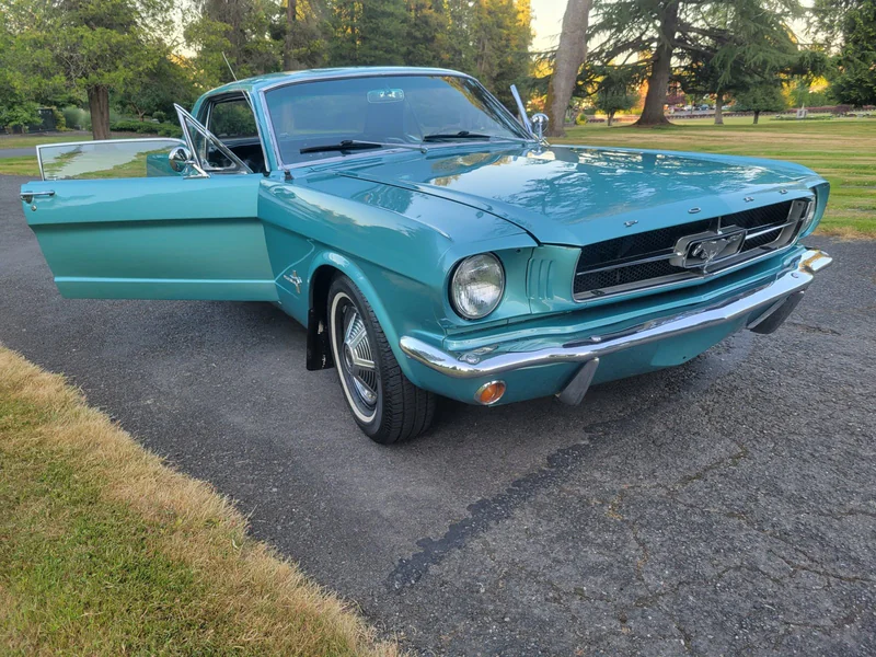 1965 Ford Mustang Base 6