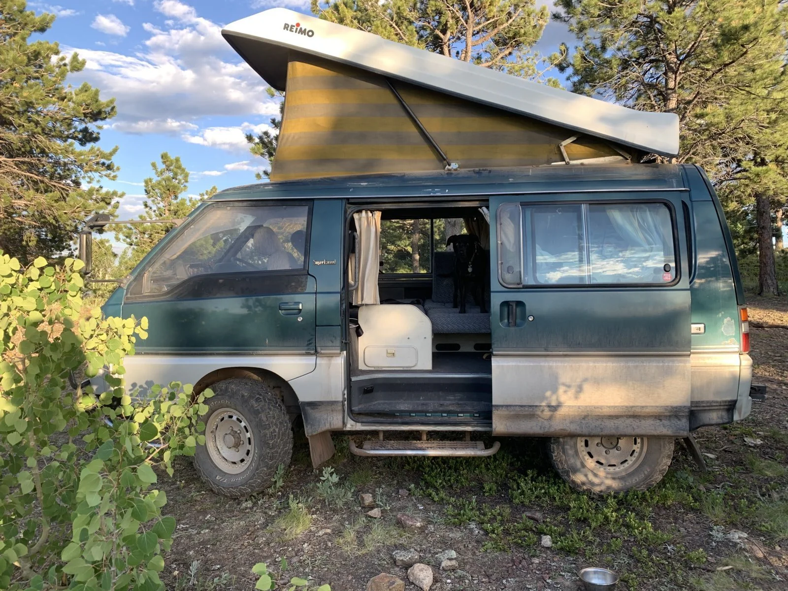 1994 Mitsubishi Delica