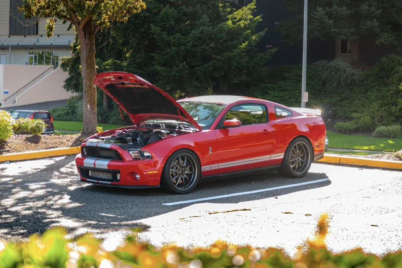 2010 Ford Mustang Shelby GT500 2
