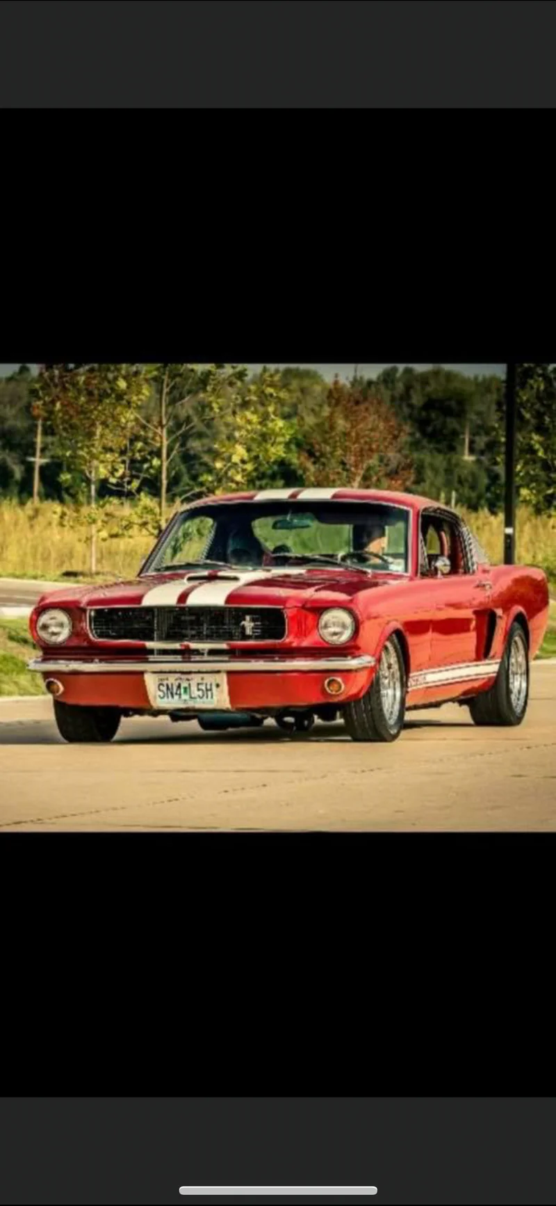1966 Ford Mustang GT350 2