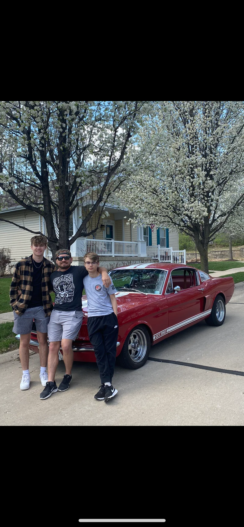 1966 Ford Mustang GT350 4