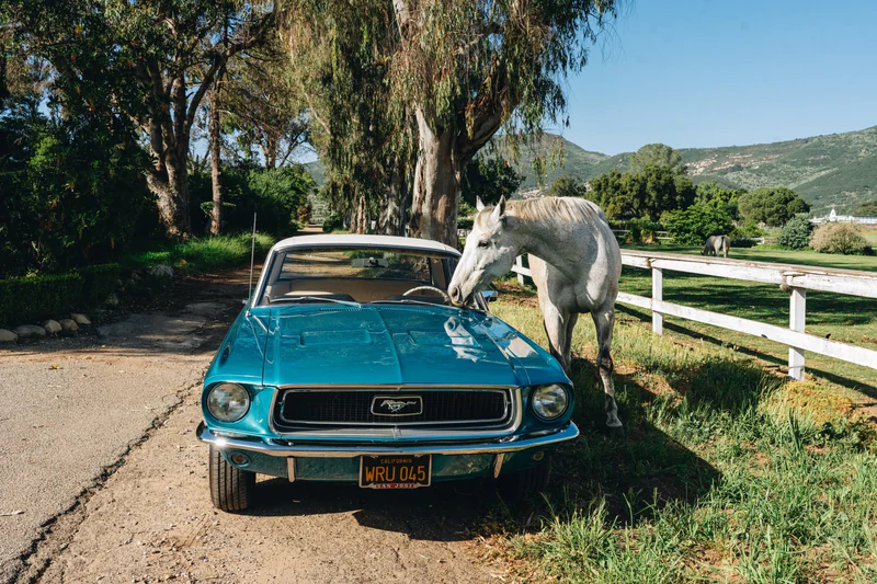 1968 Ford Mustang