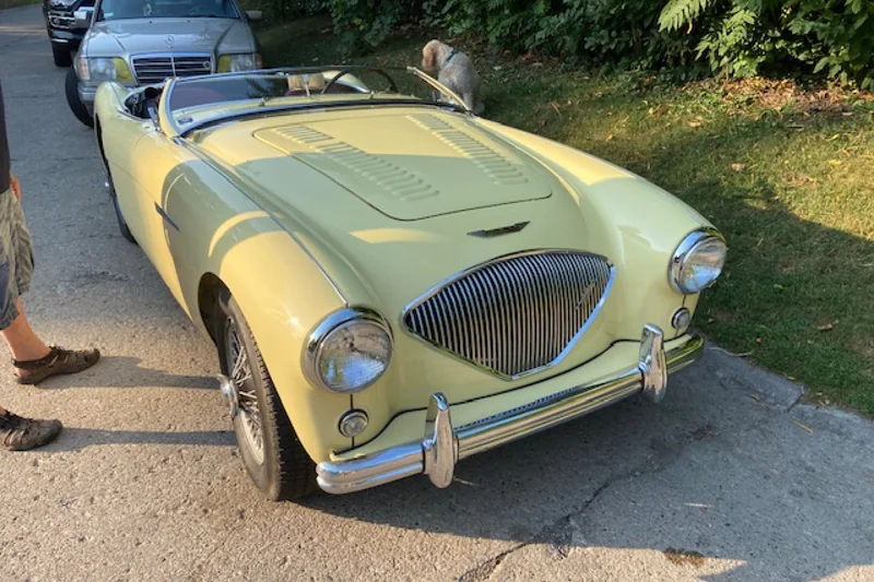 1955 Austin-Healey 100 M Lemans 2