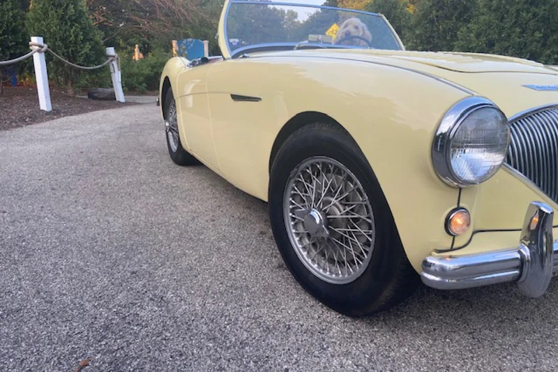 1955 Austin-Healey 100 M Lemans 3
